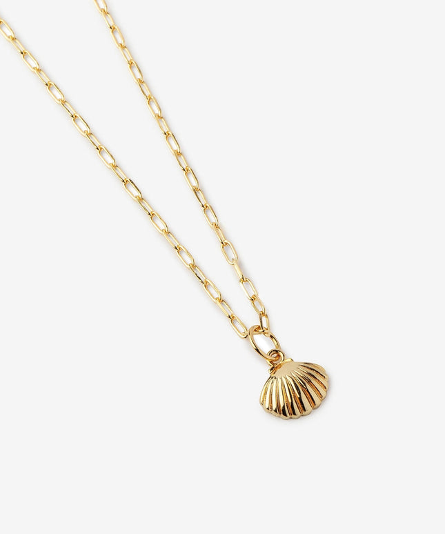 Seashell Necklace - 18k Gold